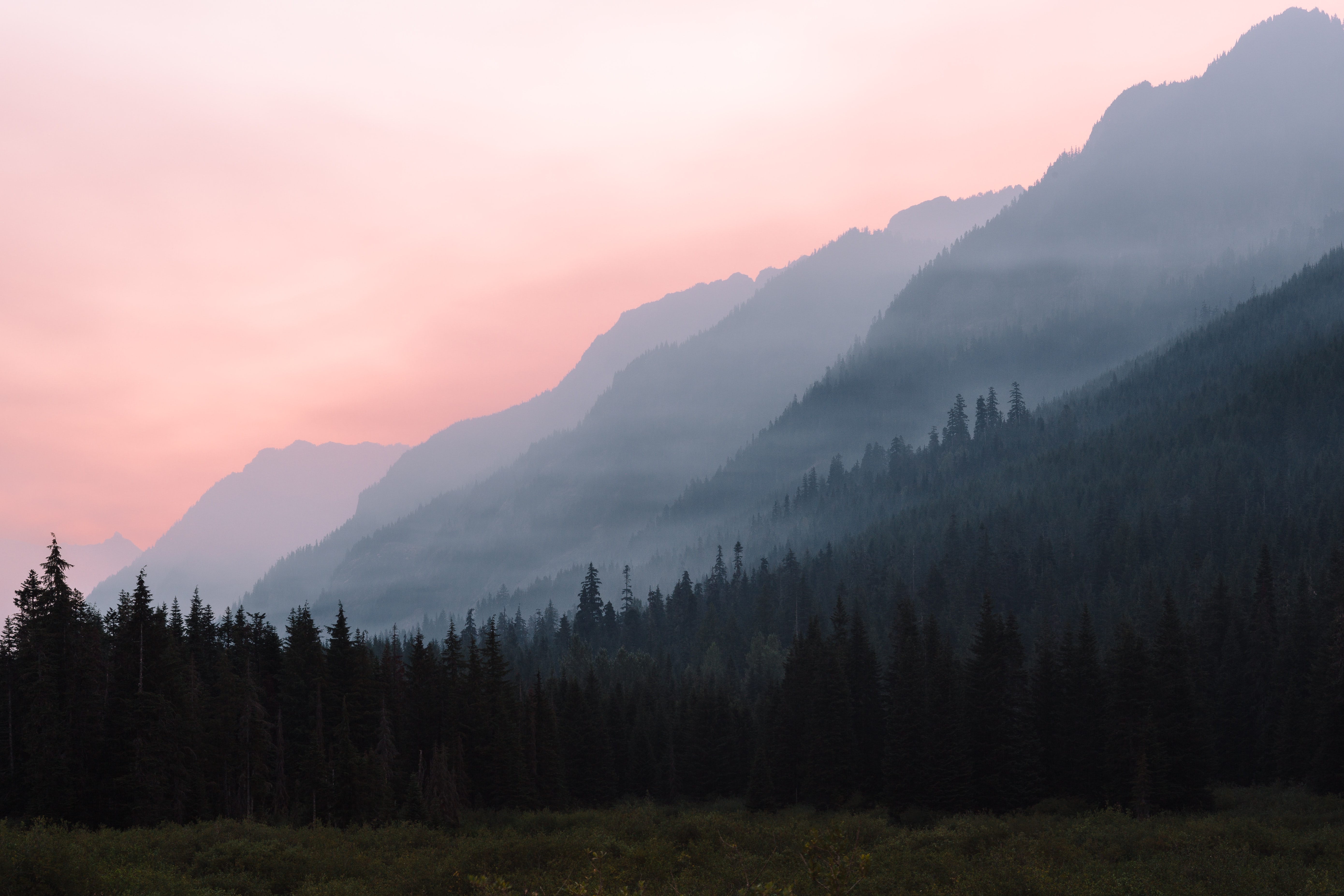 montagne et foret au lever du jour